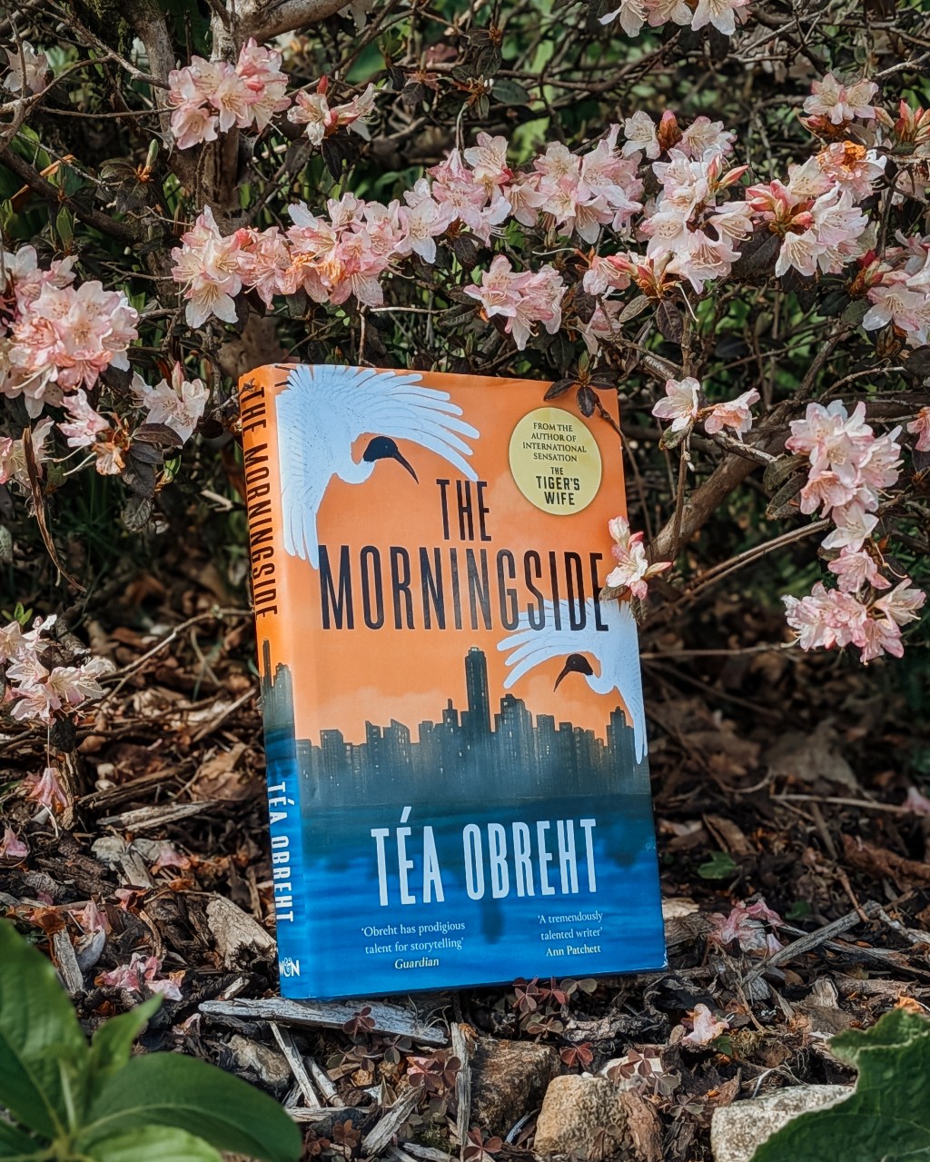 The Morningside by Téa&nbsp;Obreht