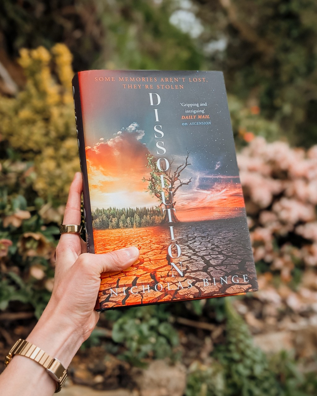 Dissolution by Nicholas Binge