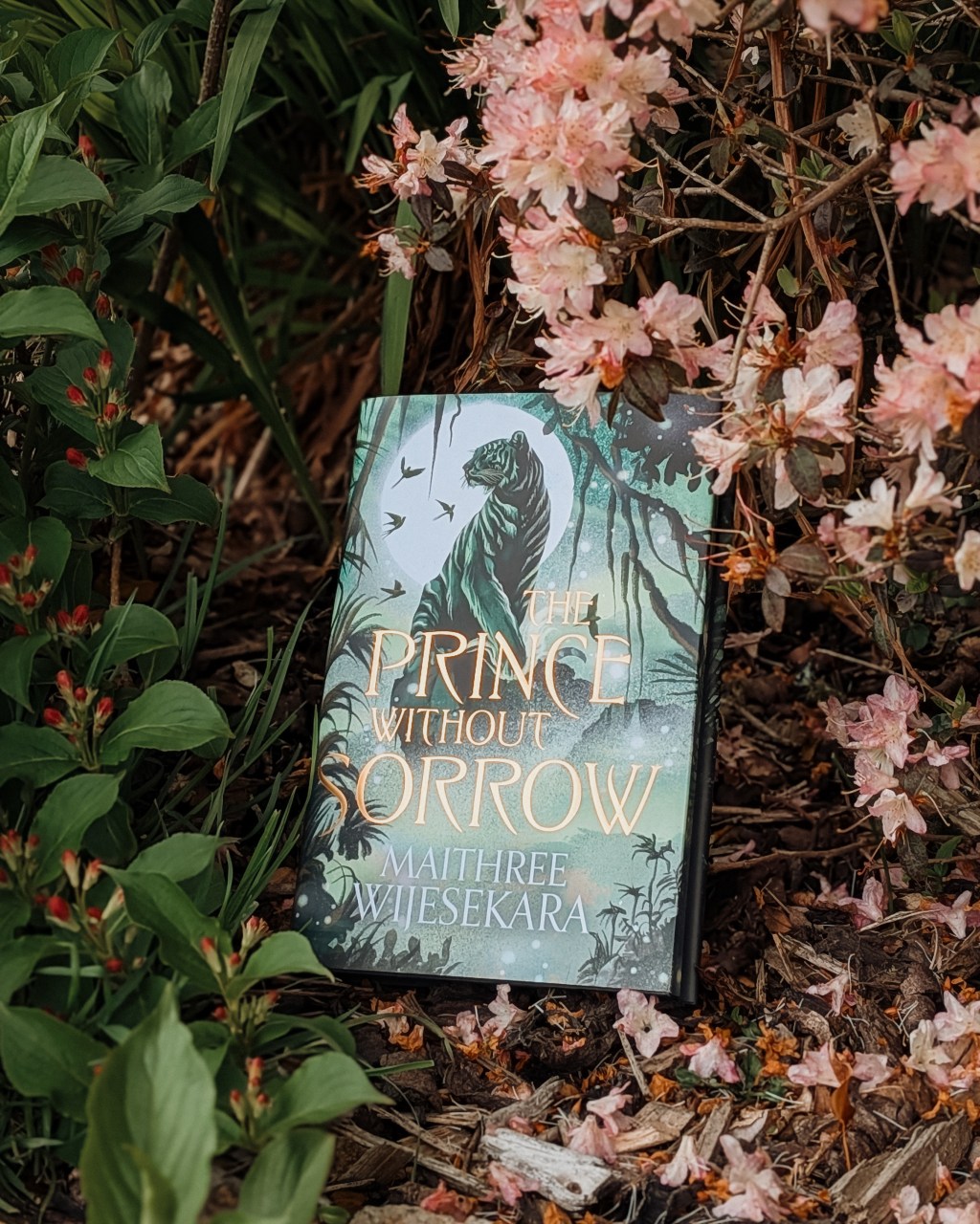 The Prince Without Sorrow by Maithree Wijesekara