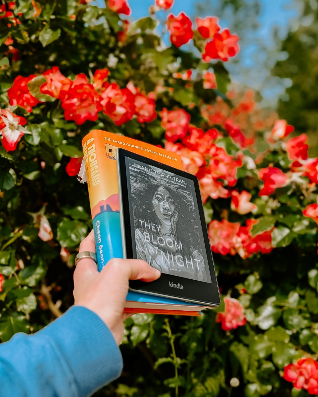 WWW Wednesday: 11/6/25