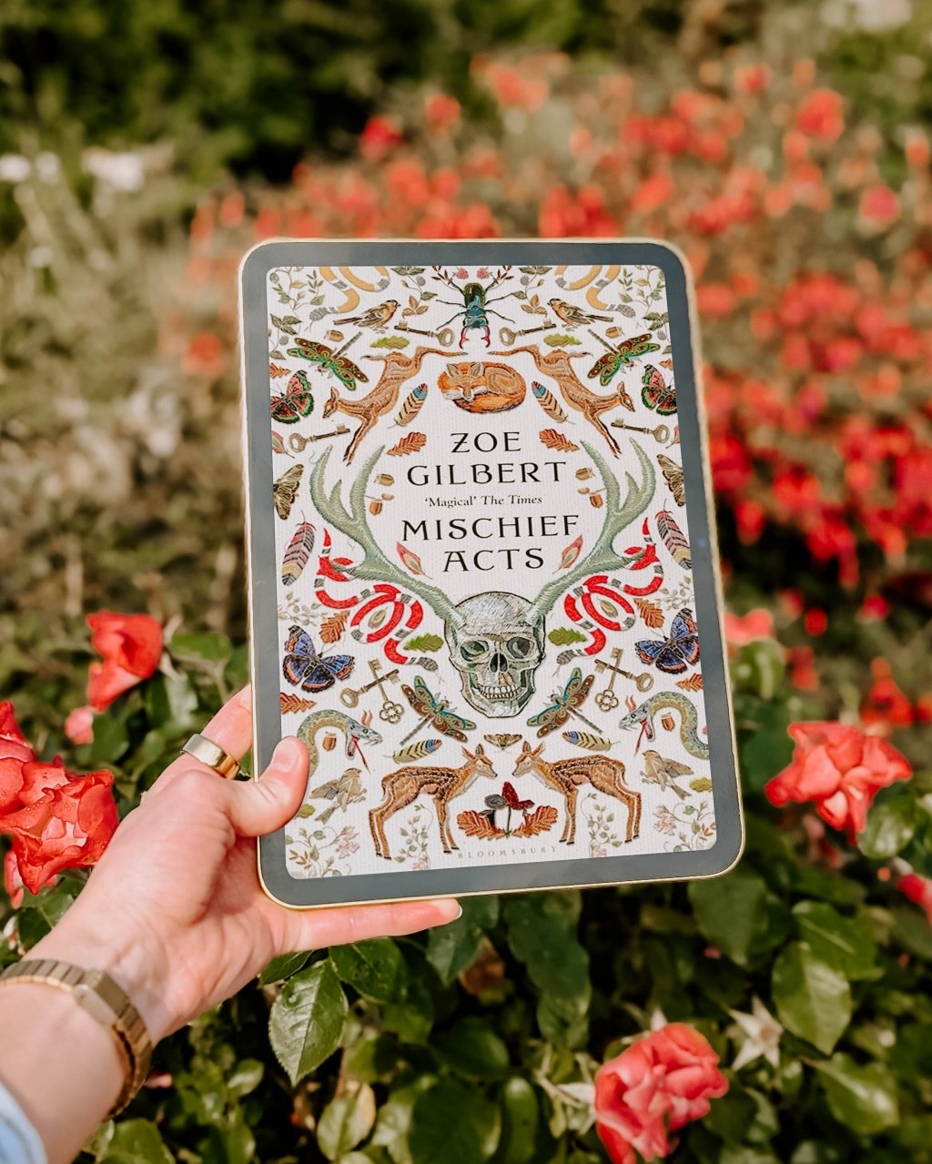 Mischief Acts by Zoe&nbsp;Gilbert