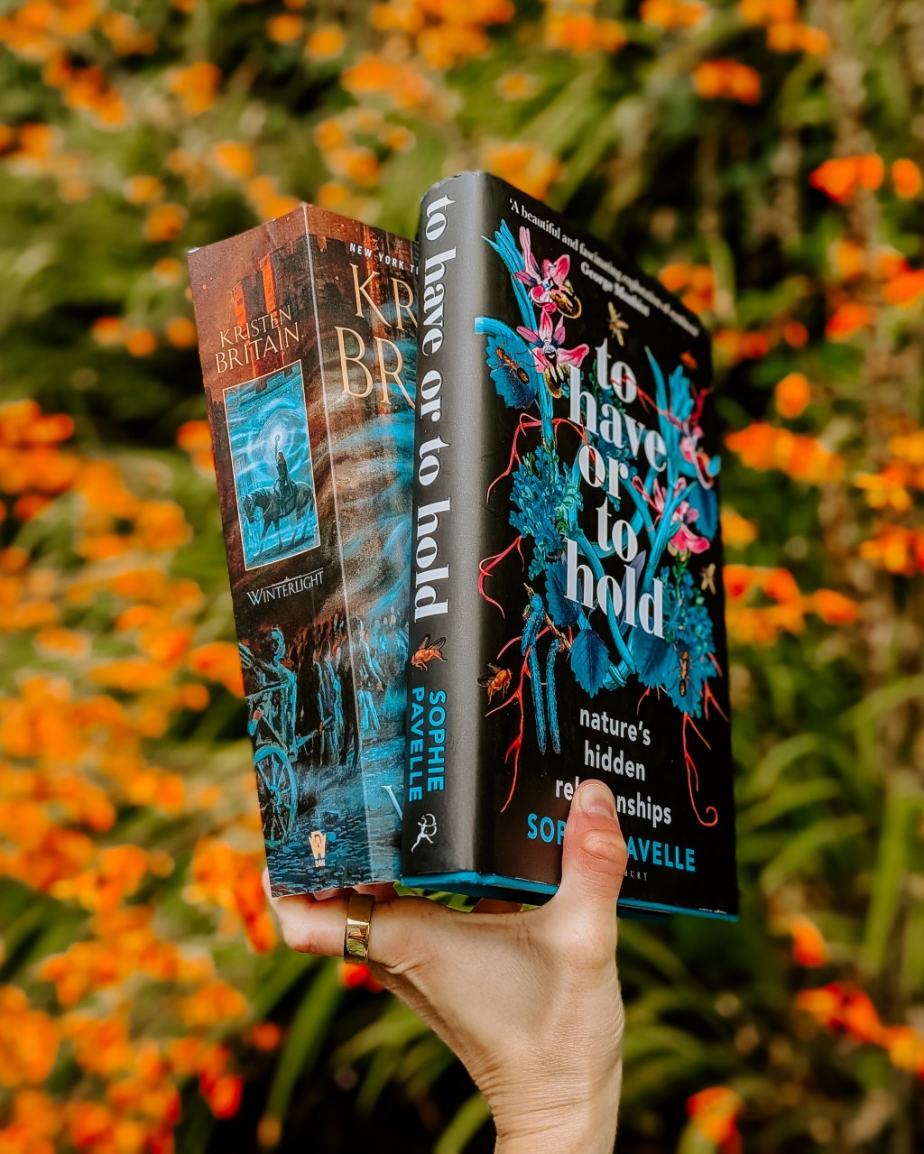 WWW Wednesday: 18/6/25