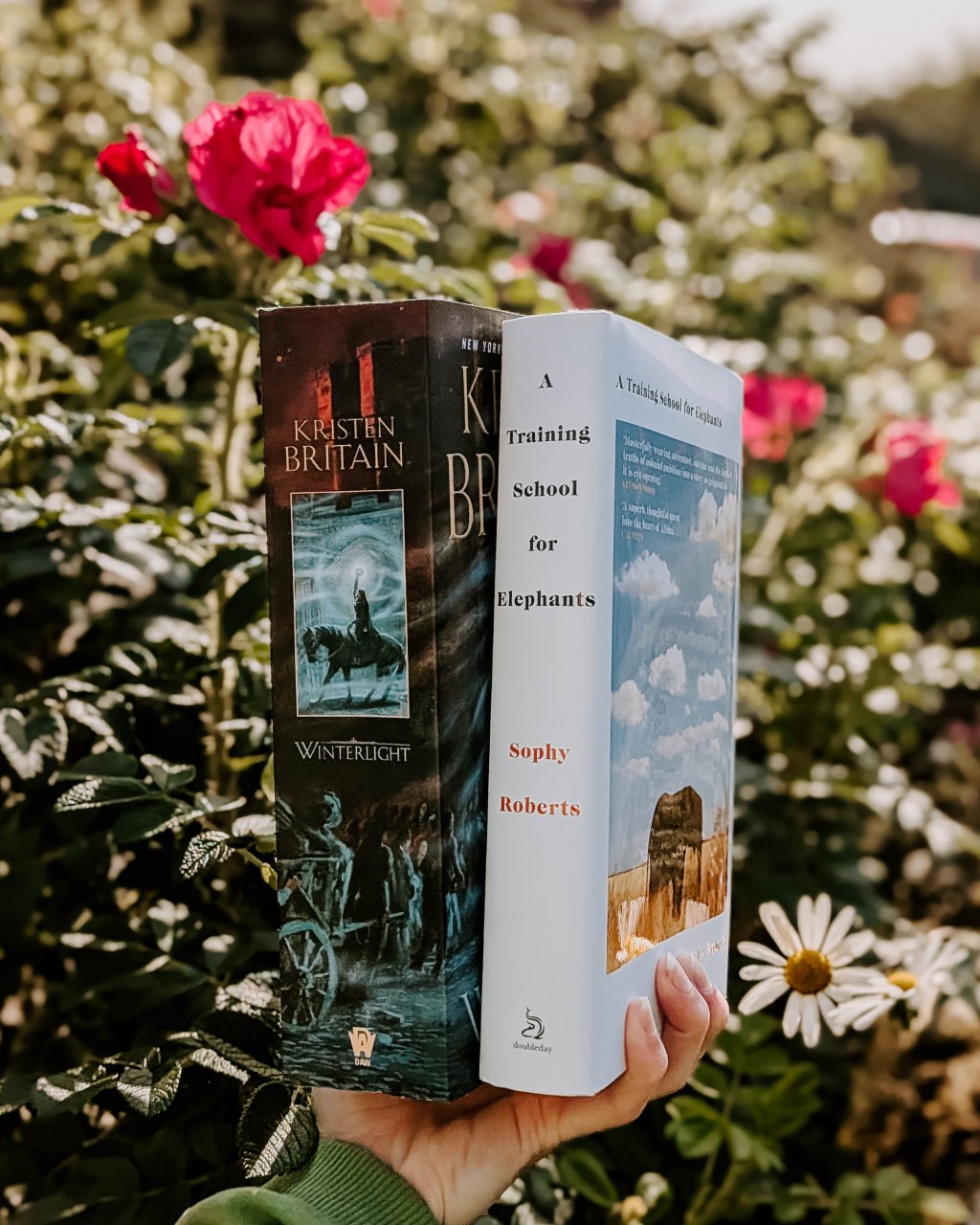 WWW Wednesday: 6/8/25