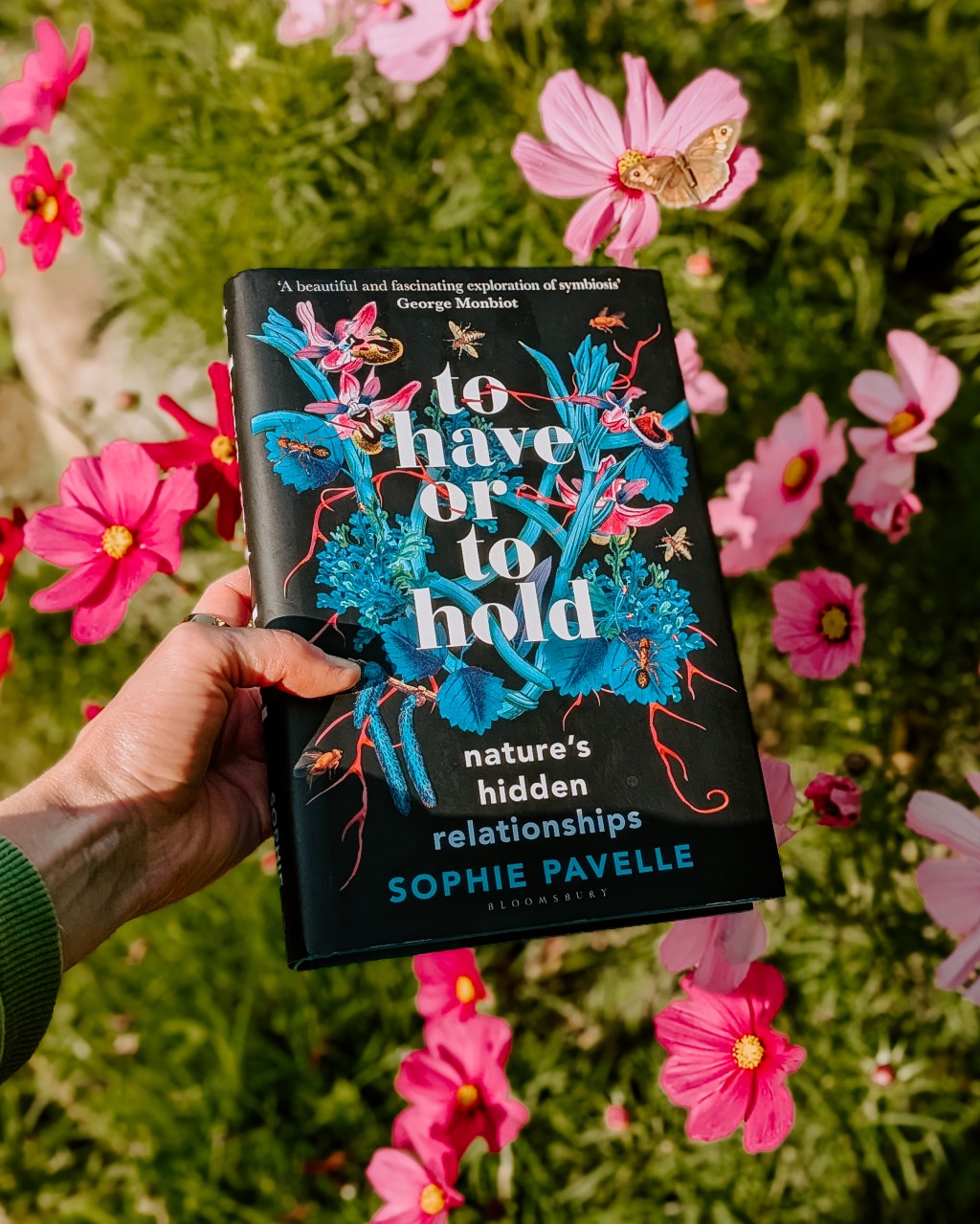 To Have or To Hold by Sophie Pavelle